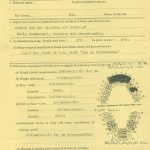 WWI veteran genealogy records from family history research at National Archives